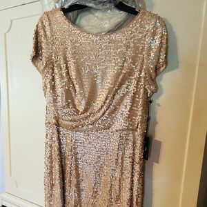 Adrianna Papell Champagne Sequin Short-Sleeve Gown